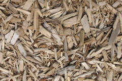 biomass boilers Harrold